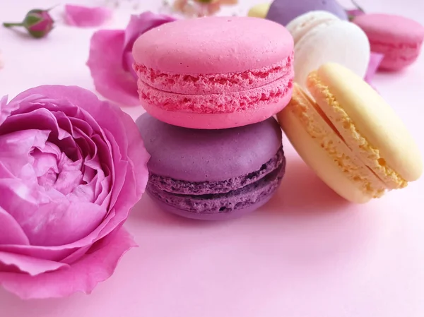 çok renkli badem kurabiyesi, renkli bir arka planda gül çiçeği.