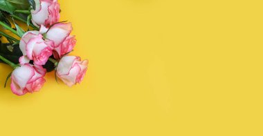 çiçek renkli arkaplan çerçevesinde yükseldi