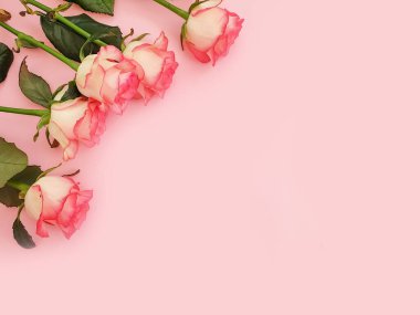 çiçek renkli arkaplan çerçevesinde yükseldi