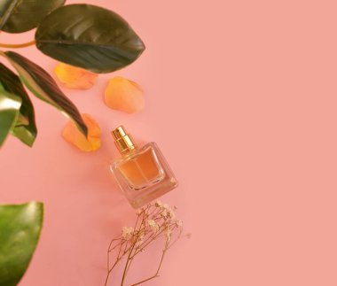 Renkli arka planda bir şişe parfümü çiçeği.