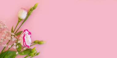 Renkli arka planda güzel bir çiçek