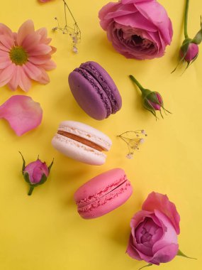 çok renkli badem kurabiyesi, renkli bir arka planda gül çiçeği.