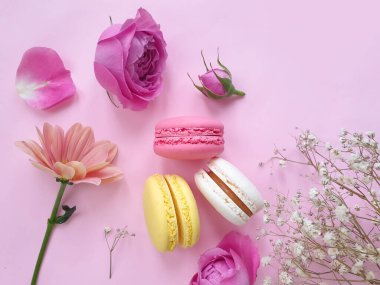 çok renkli badem kurabiyesi, renkli bir arka planda gül çiçeği.