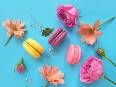 çok renkli badem kurabiyesi, renkli bir arka planda gül çiçeği.