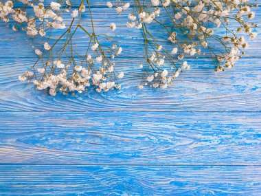 Eski ahşap arka planda çikila çiçeği