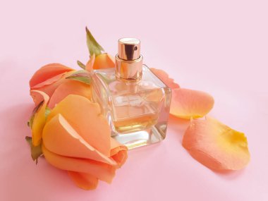 Renkli arka planda bir şişe parfümü çiçeği.