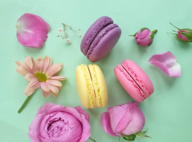 çok renkli badem kurabiyesi, renkli bir arka planda gül çiçeği.