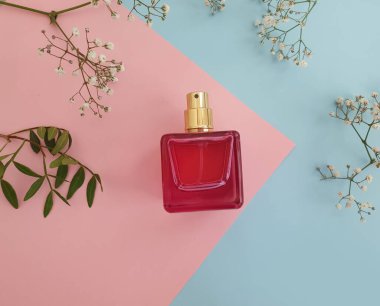 Renkli arka planda bir şişe parfümü çiçeği.