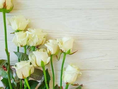 Ahşap arkaplan çerçevesinde çiçek gülü