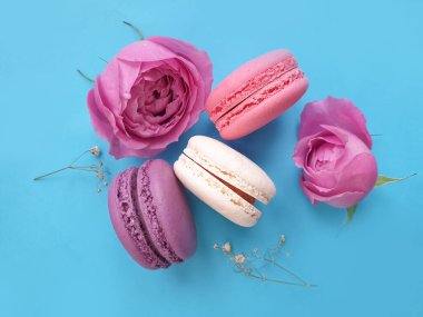 çok renkli badem kurabiyesi, renkli bir arka planda gül çiçeği.