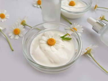 krem kozmetik papatya çiçeği renkli arka planda