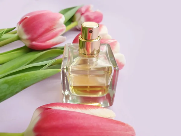 bottle perfume flower tulip on colored background