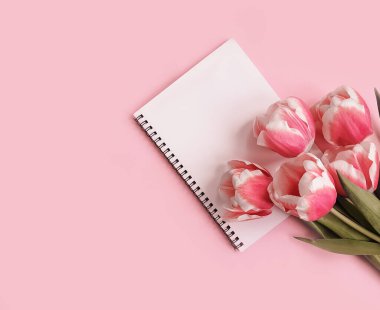 Renkli arkaplanda dizüstü bilgisayar çiçek lalesi