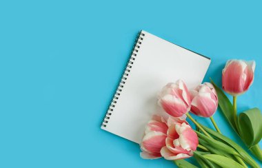 Renkli arkaplanda dizüstü bilgisayar çiçek lalesi