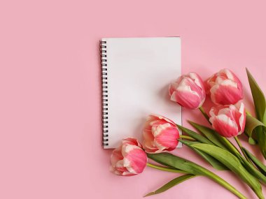 Renkli arkaplanda dizüstü bilgisayar çiçek lalesi