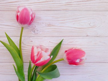 Ahşap arkaplan çerçevesinde lale çiçeği