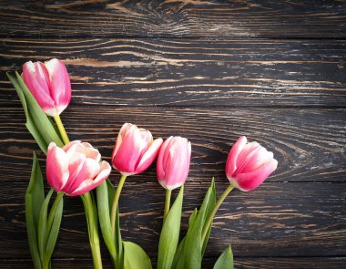 Ahşap arkaplan çerçevesinde lale çiçeği