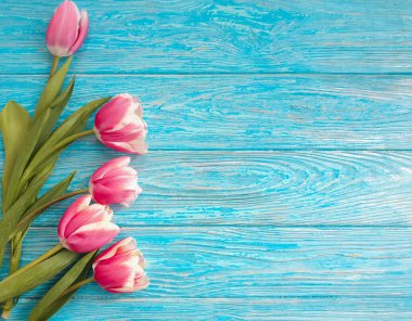 Ahşap arkaplan çerçevesinde lale çiçeği