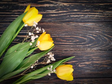 Ahşap arkaplanda lale çiçeği ilkbahar zamanı