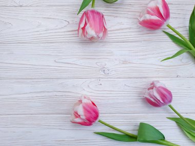 Ahşap arkaplanda lale çiçeği ilkbahar zamanı