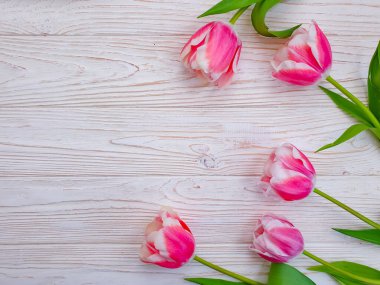 Ahşap arkaplanda lale çiçeği ilkbahar zamanı