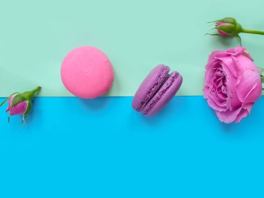  çok renkli badem kurabiyesi, renkli bir arka planda gül çiçeği.