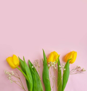 Renkli arkaplan çerçevesinde çiçek lalesi