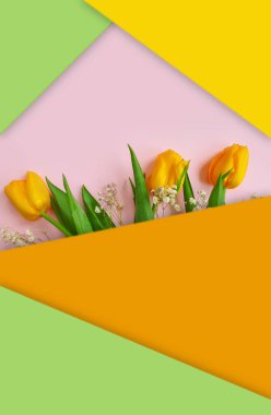 Renkli arkaplan çerçevesinde çiçek lalesi