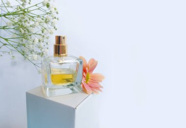 Renkli arka planda bir şişe parfümü çiçeği.