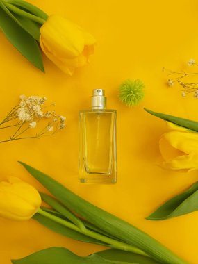 Renkli arka planda bir şişe parfüm çiçeği lalesi.