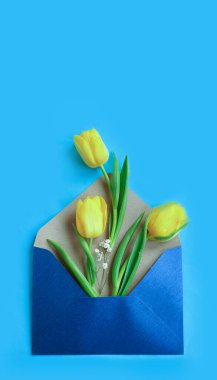 Zarf, renkli arkaplanda çiçek lalesi