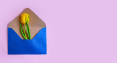 Zarf, renkli arkaplanda çiçek lalesi