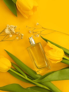 Renkli arka planda bir şişe parfüm çiçeği lalesi.