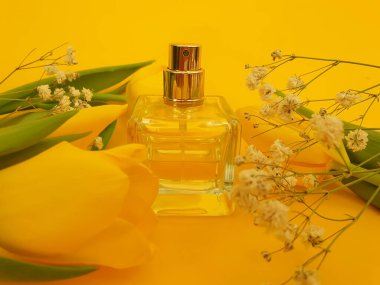 Renkli arka planda bir şişe parfüm çiçeği lalesi.