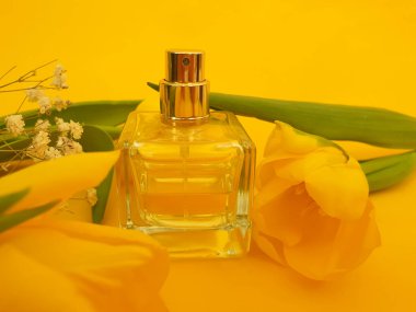 Renkli arka planda bir şişe parfüm çiçeği lalesi.