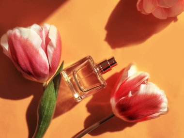 Renkli arka planda bir şişe parfüm çiçeği lalesi.