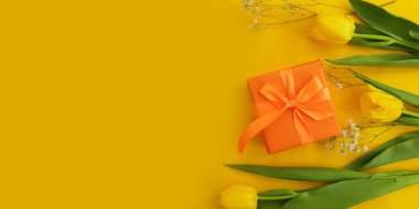 Hediye kutusu, renkli arka planda lale çiçeği.