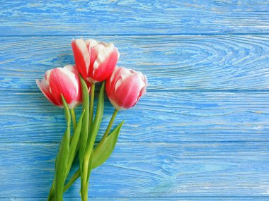  Ahşap arka planda lale çiçeği taze