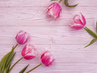  Ahşap arka planda lale çiçeği taze