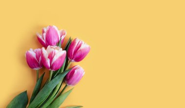  Renkli bir arkaplan eğiliminde lale çiçeği