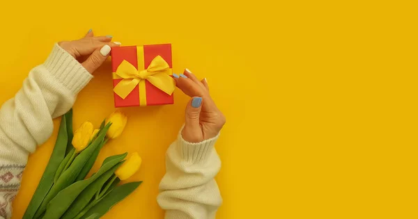 female hands hold a gift box, tulip flower