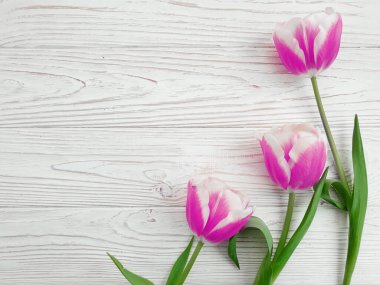  Ahşap arka planda lale çiçeği taze