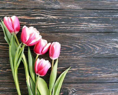  Ahşap arka planda lale çiçeği taze