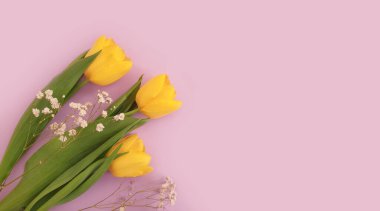  Renkli bir arka plan yürüyüşünde lale çiçeği