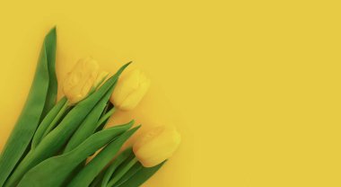 Renkli çerçeve buketinde lale çiçeği