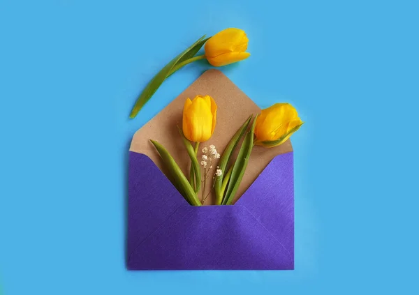 Enveloppe Fleur Tulipe Sur Fond Coloré — Photo