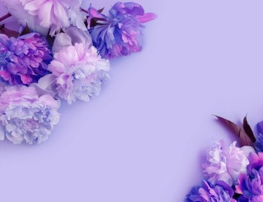 Renkli arka planda güzel bir şakayık çiçeği