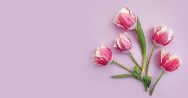 Renkli çerçeve buketinde lale çiçeği