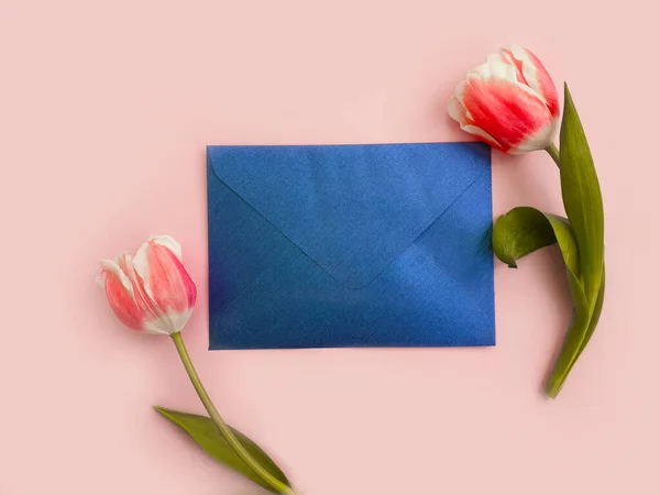 envelope flower tulip on colored background