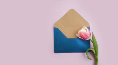 Zarf, renkli arkaplanda çiçek lalesi